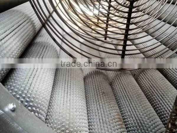 Hotasle Cassava Peeling Machine l Cassava Peeler for Cassava Flour Processing Line photo-6