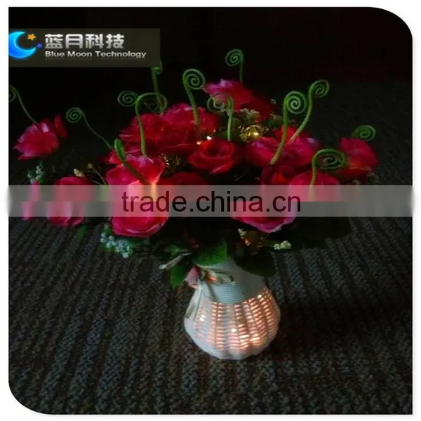 CE&ROHS Led Copper Wire String Lights With Pvc Tube Remote Control Led String Lights photo-6