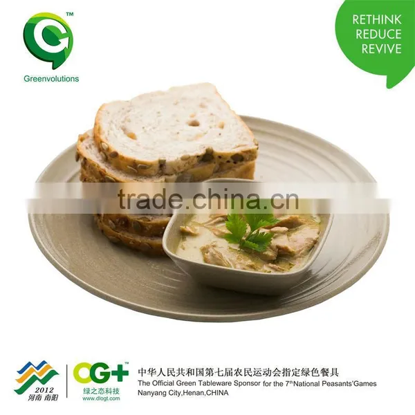 Fashion Design Biodegrable and Eco-friendly Wholesale Dinner Plate photo-2