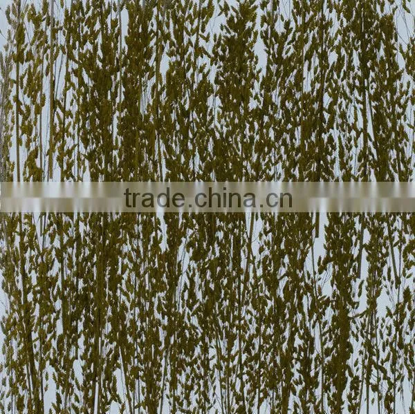 Natural Leaf With Polystyrene Sandwich Panel Acrylic Door Designs photo-4