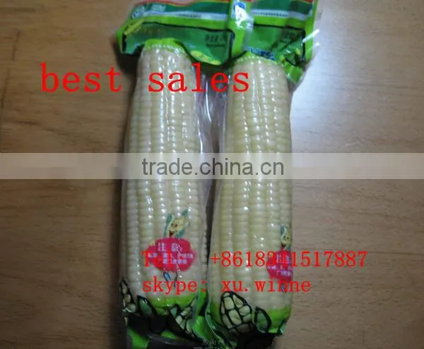 Sweet Frozen White Corn Maize Cob for Sale photo-2
