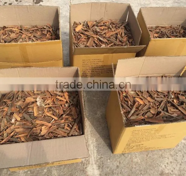VIETNAM BROKEN CASSIA, HIGH QUALITY, BEST PRICE (+841657106604 - WHATSAPP) photo-4