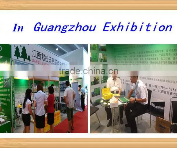 China Best Selling Natural Pine Oil 85% Price for Export photo-4