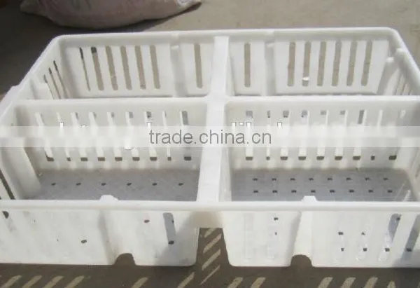 Plastic Circulating Stackable Transport Poultry Cage/Box/Crats for Child Chicken photo-2