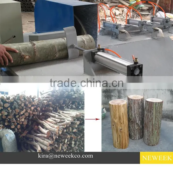 NEWEEK Wood Processing Circular Saw Slasher for Sale photo-3