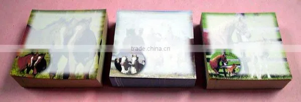 Memo Cube With Horse Design