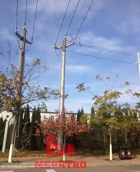 10kv Distribution Momopole photo-4