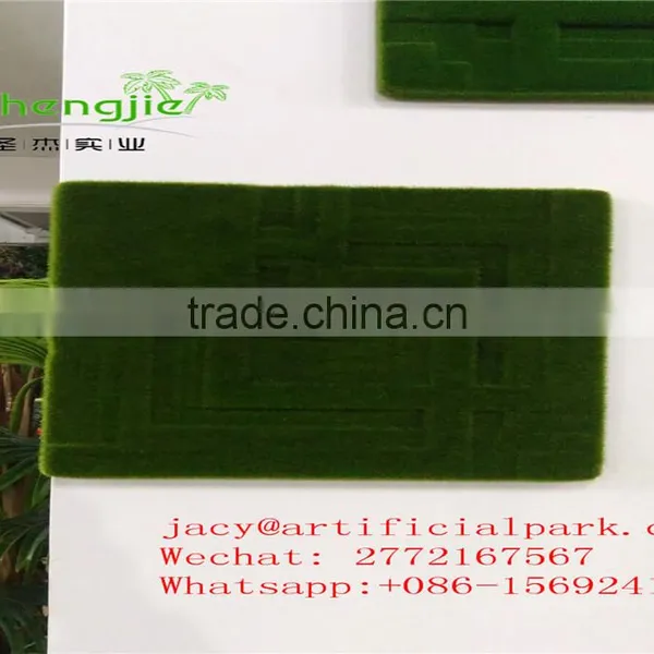 SJLJ01284 Popular Artificial Moss for Wall Decoration photo-3