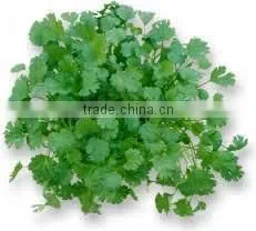 COARINDER OIL photo-4