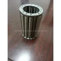 Offer Coster Bearings KNL20*30.2*18 photo-2