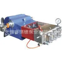 Triplex Piston Pump,triplex Plunger Pump,high Pressure Pump(WP3Q-S)