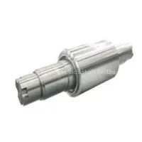 Support Roll photo-2