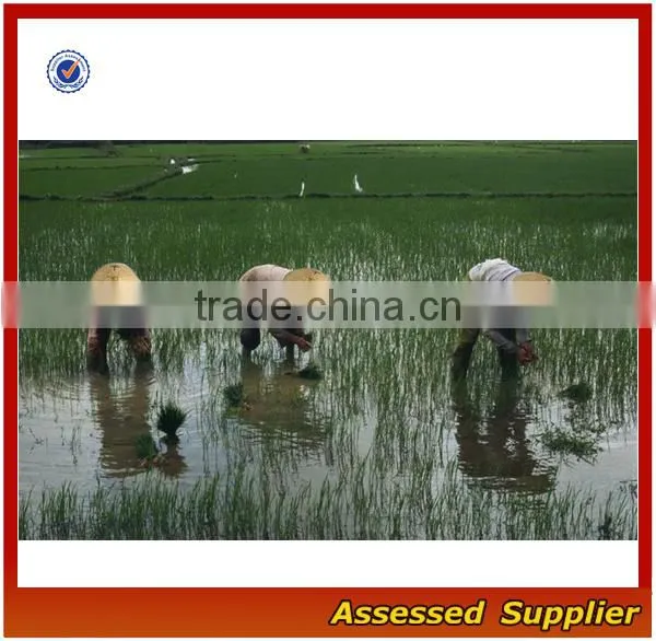 ZT45 Wholesale India Coolie Straw Hat Cheap 100% Bamboo Unisex Sun Straw Hat for Sale photo-6