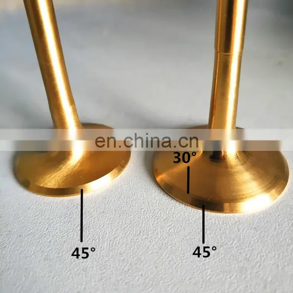 Exhaust Valve Intake Valve Premium Titanium Material Motorcycle Parts for KTM Husqvarna 250 SX-F XC-F XCF-W FC FC250 photo-7