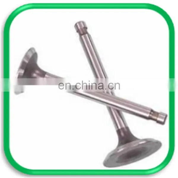 Truck Spare Parts Intake and Exhaust Engine Valve for Daf xf 105 95 106 photo-4