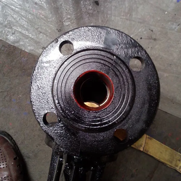 Factory Direct Russia GOST Standard Cast Iron Brass Seal Flange Gate Valve 304 Control Valve photo-4