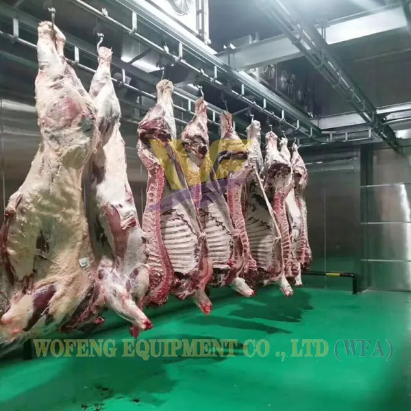 ISO 9001 Complete Cow Slaughter Line Equipment Cattle Beef Processing Machine Butchery Device Halal Slaughterhouse Plant photo-5