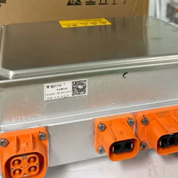 Lithium Battery Charger photo-2