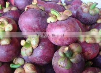 Mangosteen