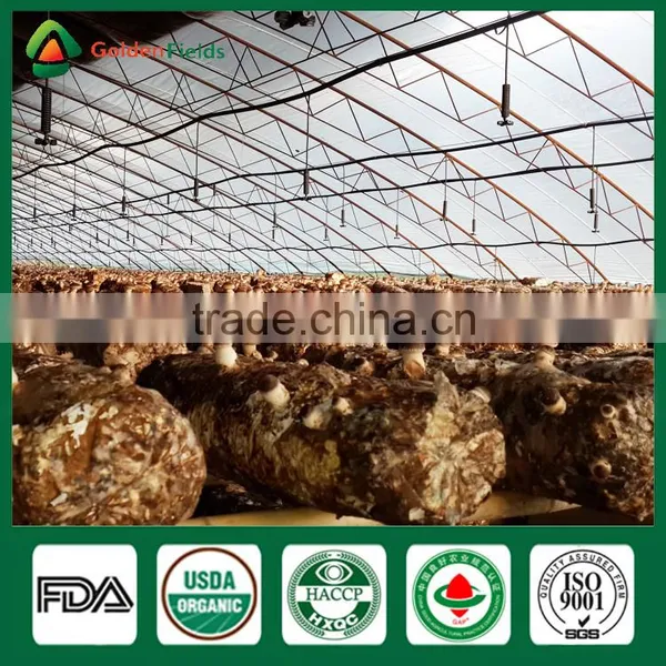 Fresh Shiitake Mushroom,Medicinal Mushroom,Mushroom Cultivation photo-5