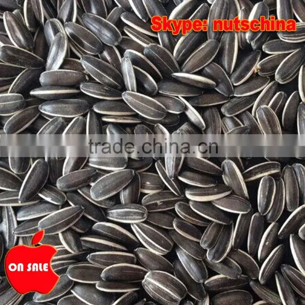 Sunflower Seeds 5009/118/3939/5135/6009 photo-4