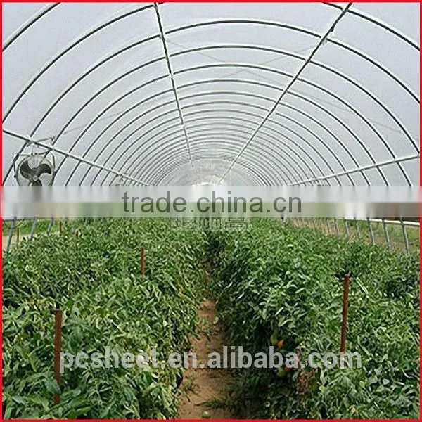 Polycarbonate Hollow Sheet for the Garden Greenhouses photo-3