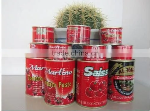 800g Canned Tomato Paste,made in China photo-3