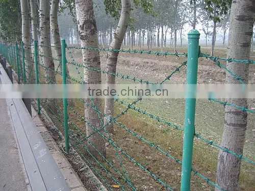 Hot Diped Galvanized Razor Barbed Wire photo-2