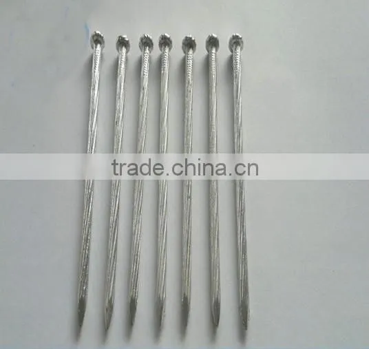 Good Quality Nails and Low Price Concrete Nails/ Steel Nails From China Golden Supplier photo-6