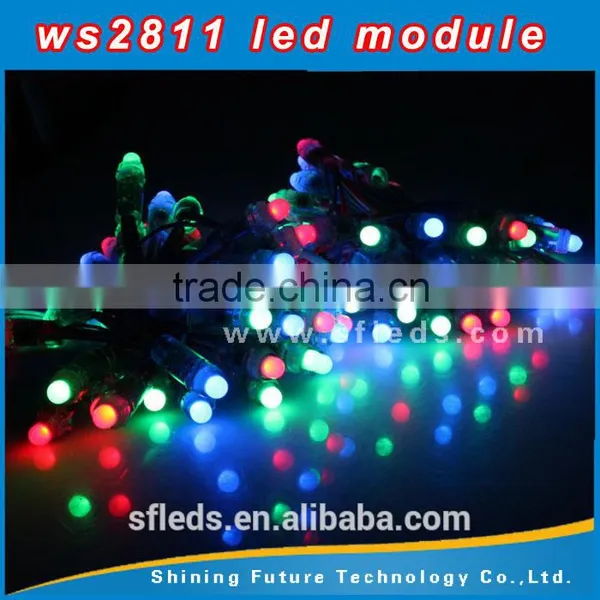 12V 12mm WS2811 Intelligent RGB Pixels IP68 Waterproof LED Light String photo-5