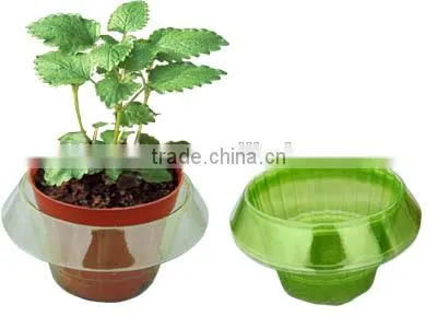 Plastic Slug/snail Guards photo-2