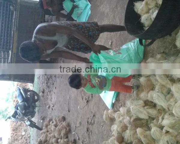 Fresh Frozen Coconuts photo-4