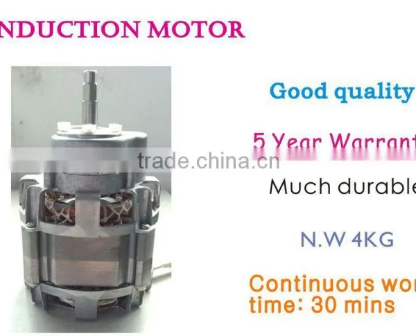 200W Elecctric Big Mouth Slow Juicer, Orange Juicer, Carrot Juicer Machine, Juicer Extractor photo-5