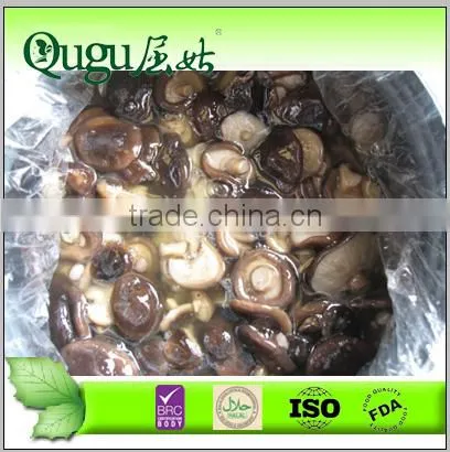 Delicious Wholesale Shiitake Mushroom in Drum