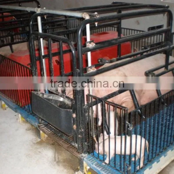 Pig Farrowing Crate photo-5