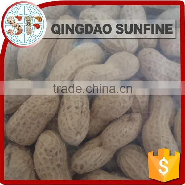 Red Skin Peeled Roasted Peanut in Shell photo-6
