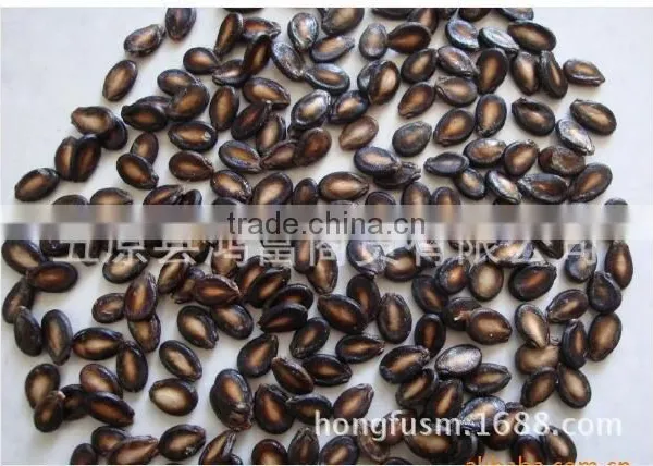 Xinjiang Black Watermelon Seeds for Importers