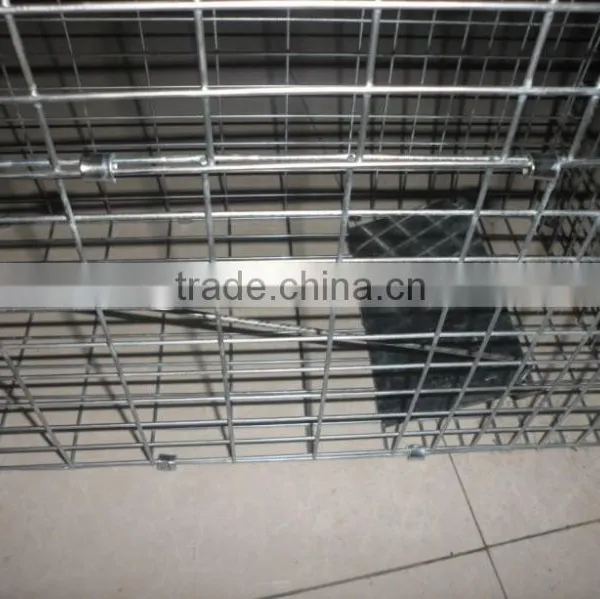 2015 the Most Popular Live Animal Traps (high Quality Wit Big Supply) photo-6