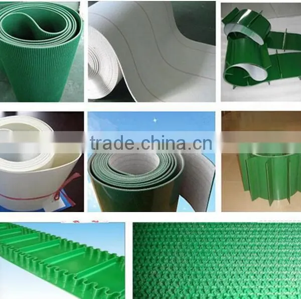 Automatic Assembly Line Cargo Conveyor for Sale photo-5