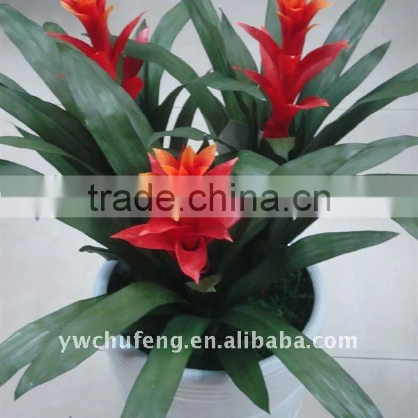 Artificial Potted Flowers Silk Flower