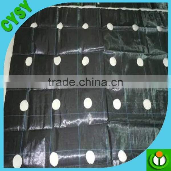 PP/PE Woven Fabric 90gsm-140gsm Black/green Ground Cover,weed Barrier Fabrics, Weed Mat Ground Cover photo-2