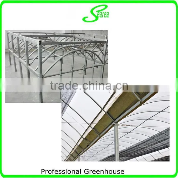Vegetable Commercial Greenhouse for Sale photo-4