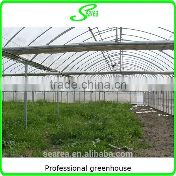Easy Assembled Commercial Agricultural Tunnel Greenhouse photo-2