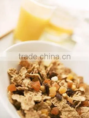 The CY65-II Fried Maize Food/corn Flaks Machine Line/plant photo-4