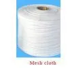 Mesh Cloth
