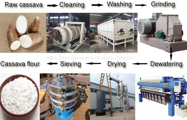 Large potato starch production process