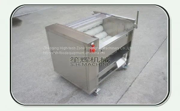 Commercial Fish Scale Peeling Machine Sweet Potato Taro Radish Ginger Peeling Machine photo-2