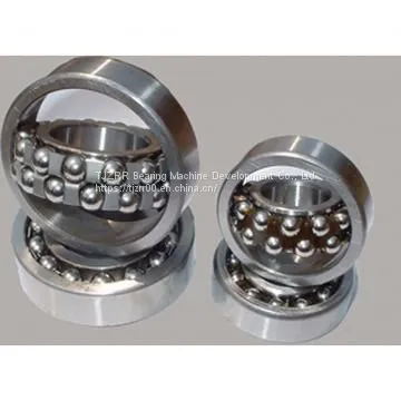 Nsk 6010du2 Bearing photo-2