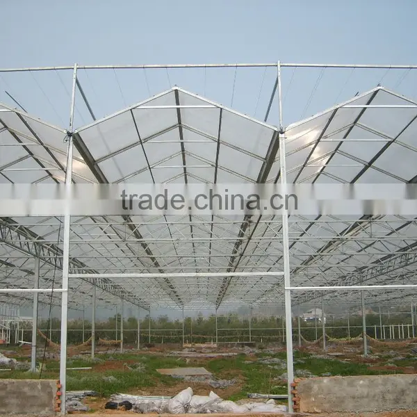 Agricultural Commercial Greenhouse photo-2
