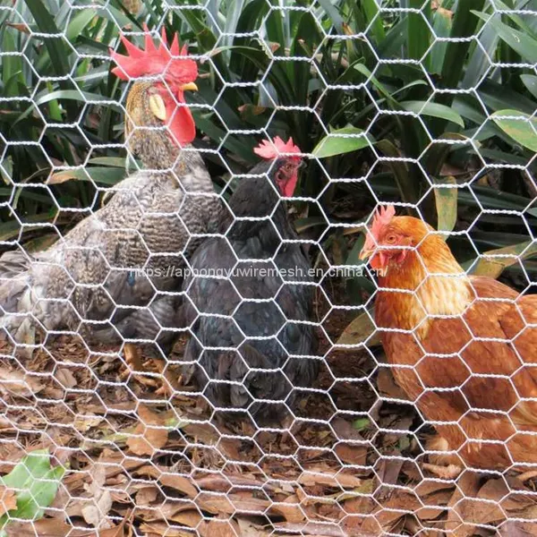 Chicken Wire Hexagonal Wire Mesh Chicken Wire Netting Wire Netting Poultry Fence Poultry Mesh photo-2